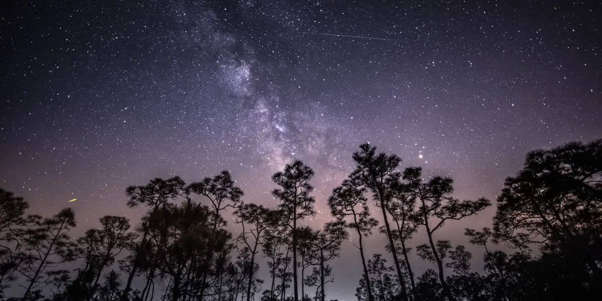 Featured image for Weekend Double Delight: Delta Aquariids and Alpha Capricornids Meteor Showers to Illuminate the Skies