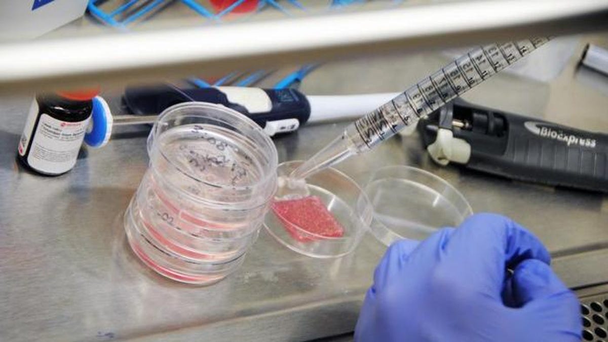 Featured image for Advancements in Bioprinting: Human-like Skin Revolutionizes Wound Healing
