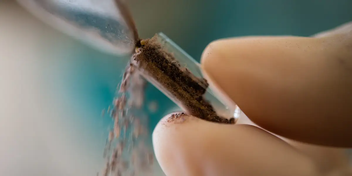 Featured image for New mother chooses not to consume placenta post-birth.