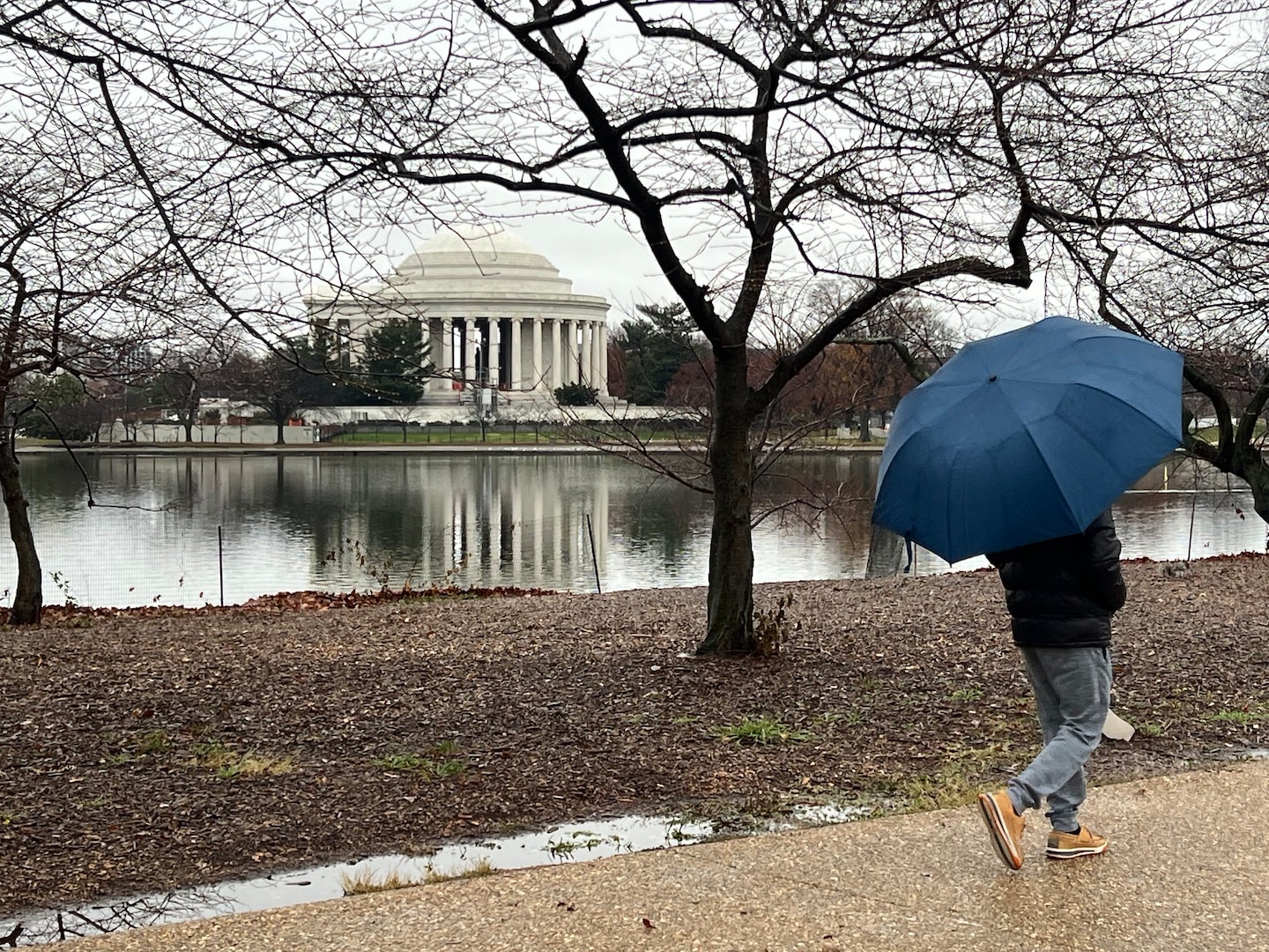 Sunday's Rain: Starting Before Dawn and Turning Steadier