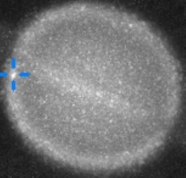 Featured image for Astronomers Investigate Mysterious Impact on Saturn