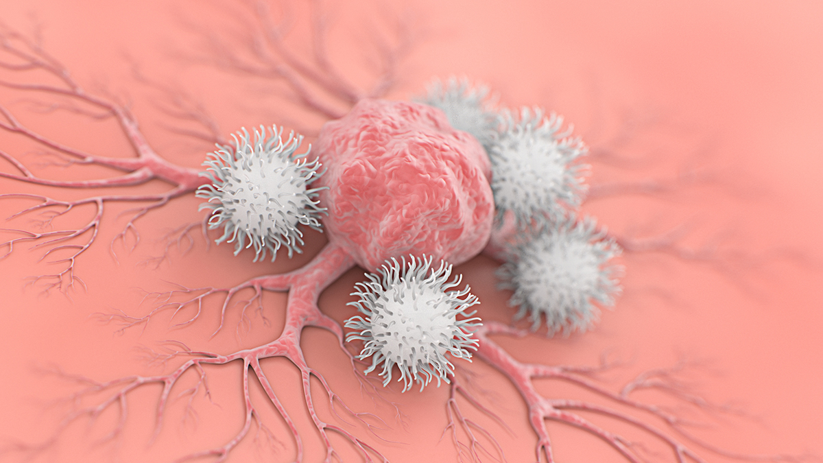 Featured image for Engineered Natural Killer Cells Show Promise for Off-the-Shelf Cancer Immunotherapy