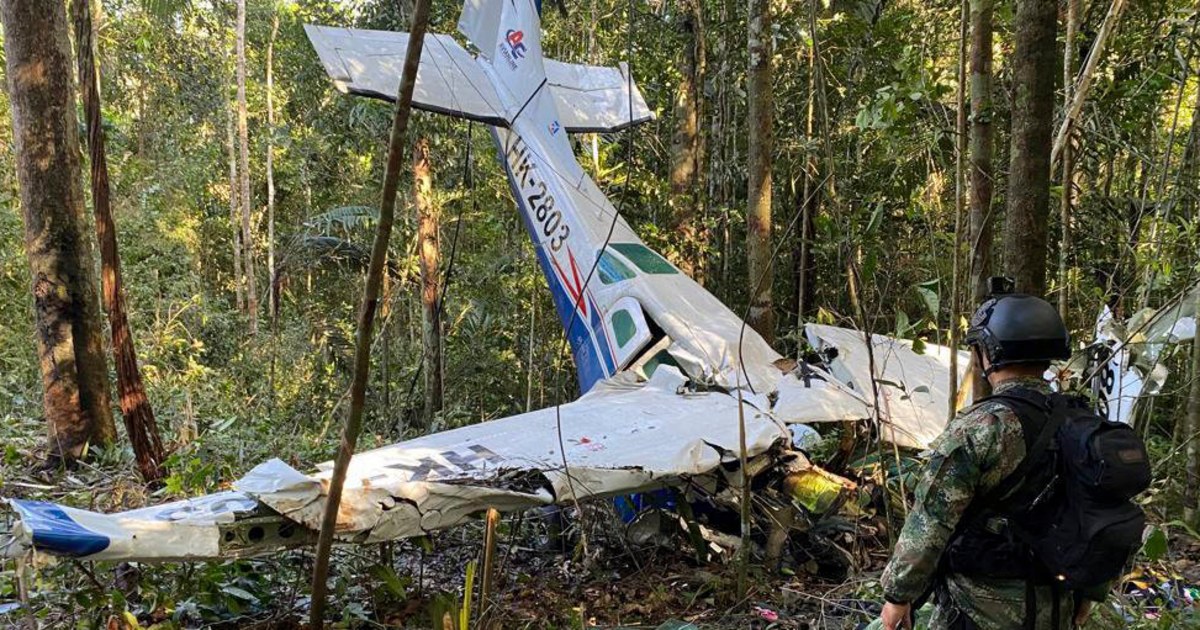 Featured image for Indigenous searchers use ayahuasca to aid in rescue of plane crash survivors in Colombian jungle.