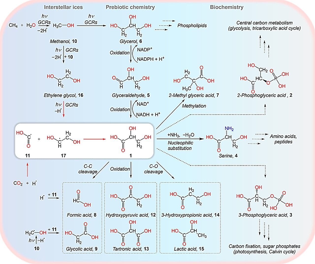 Featured image for "NASA's Webb Uncovers Icy Ingredients and Organic Molecules in Space"