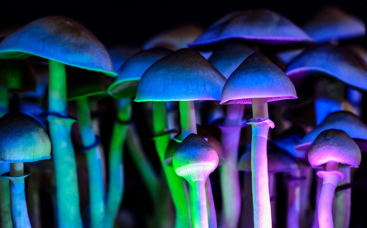 Featured image for Psychedelic-inspired drugs show promise in treating depression without hallucinations.