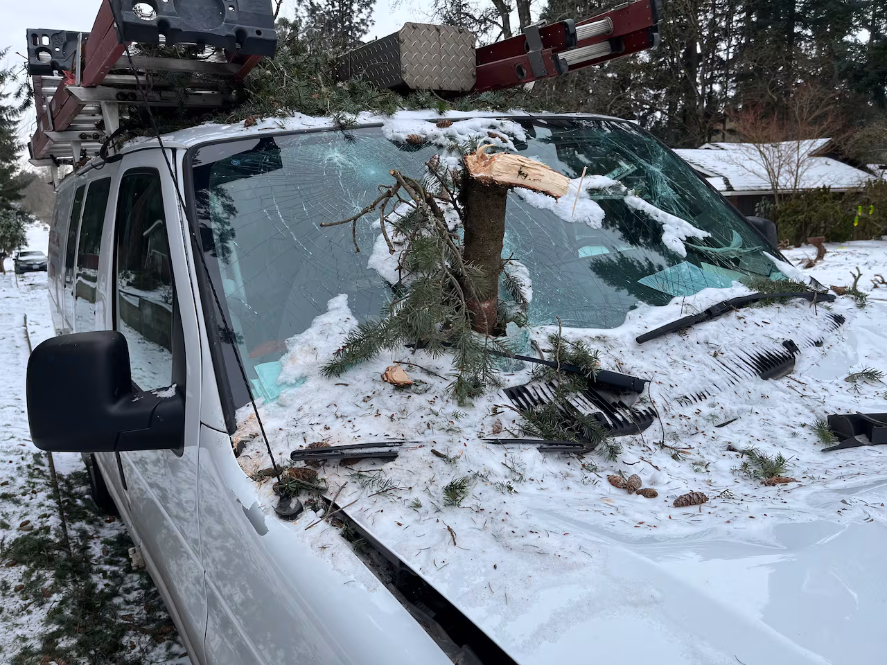 Featured image for "Portland Contractors and Arborists Overwhelmed by Storm Damage Calls"