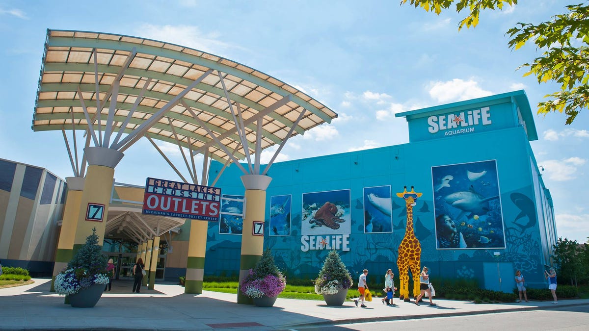 Featured image for No Injuries or Active Shooter Found at Great Lakes Crossing and Southdale Center Malls