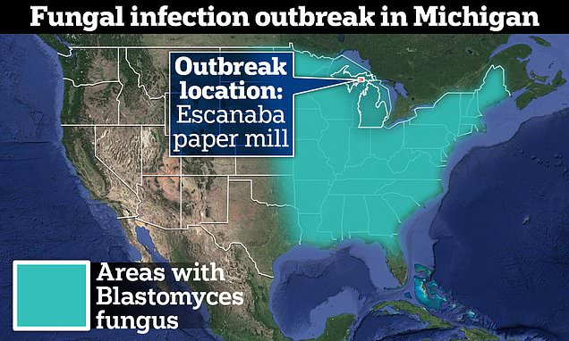Michigan Paper Factory Hit by Blastomyces Fungal Outbreak Affecting Over 90 Workers