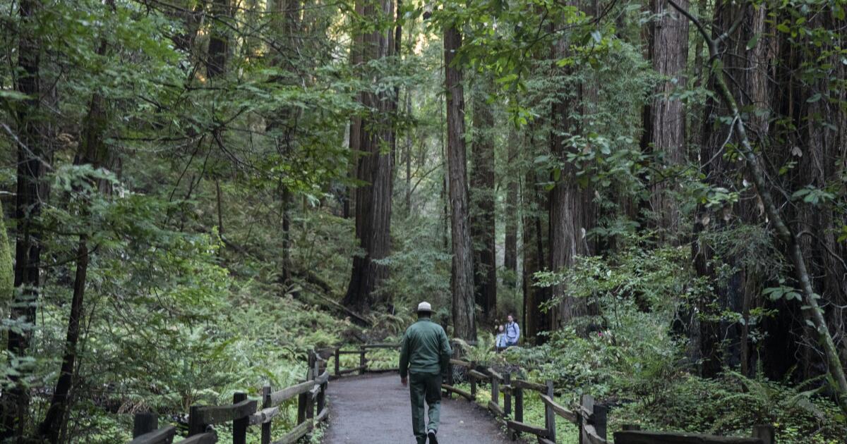Trump's directives lead to removal of patriotic and historical displays from national parks