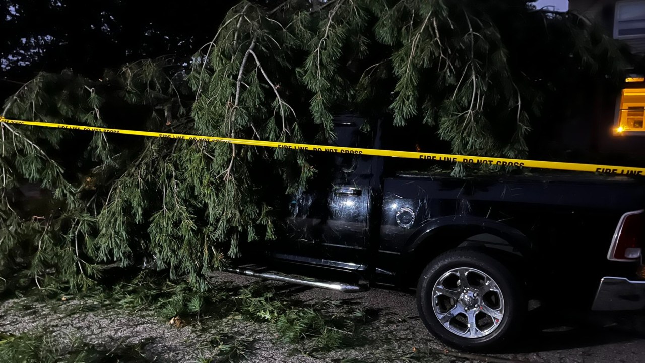 Aftermath of EF1 Tornado: Ongoing Clean-up and Outages