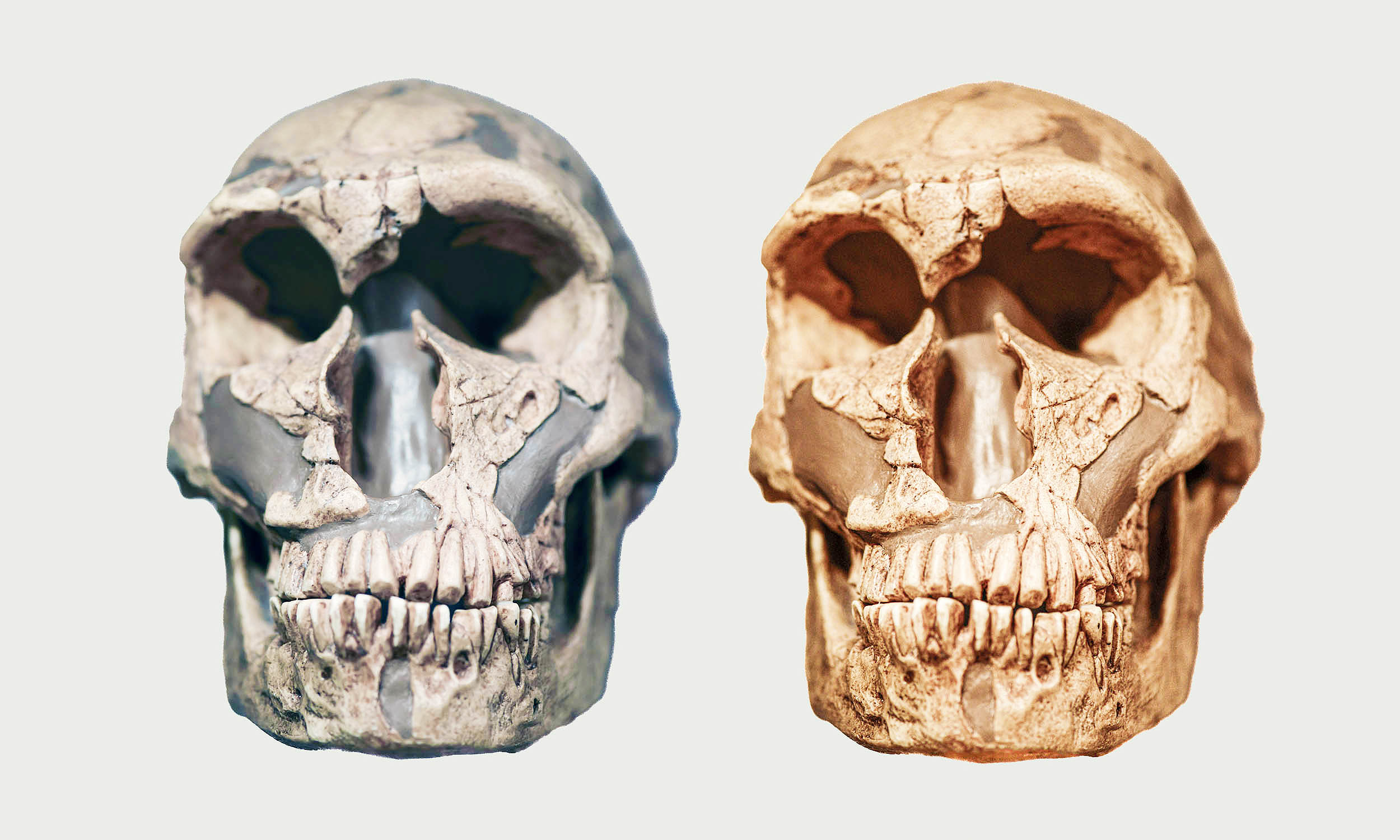 Featured image for Mysterious New Human Species with Large Brains Discovered