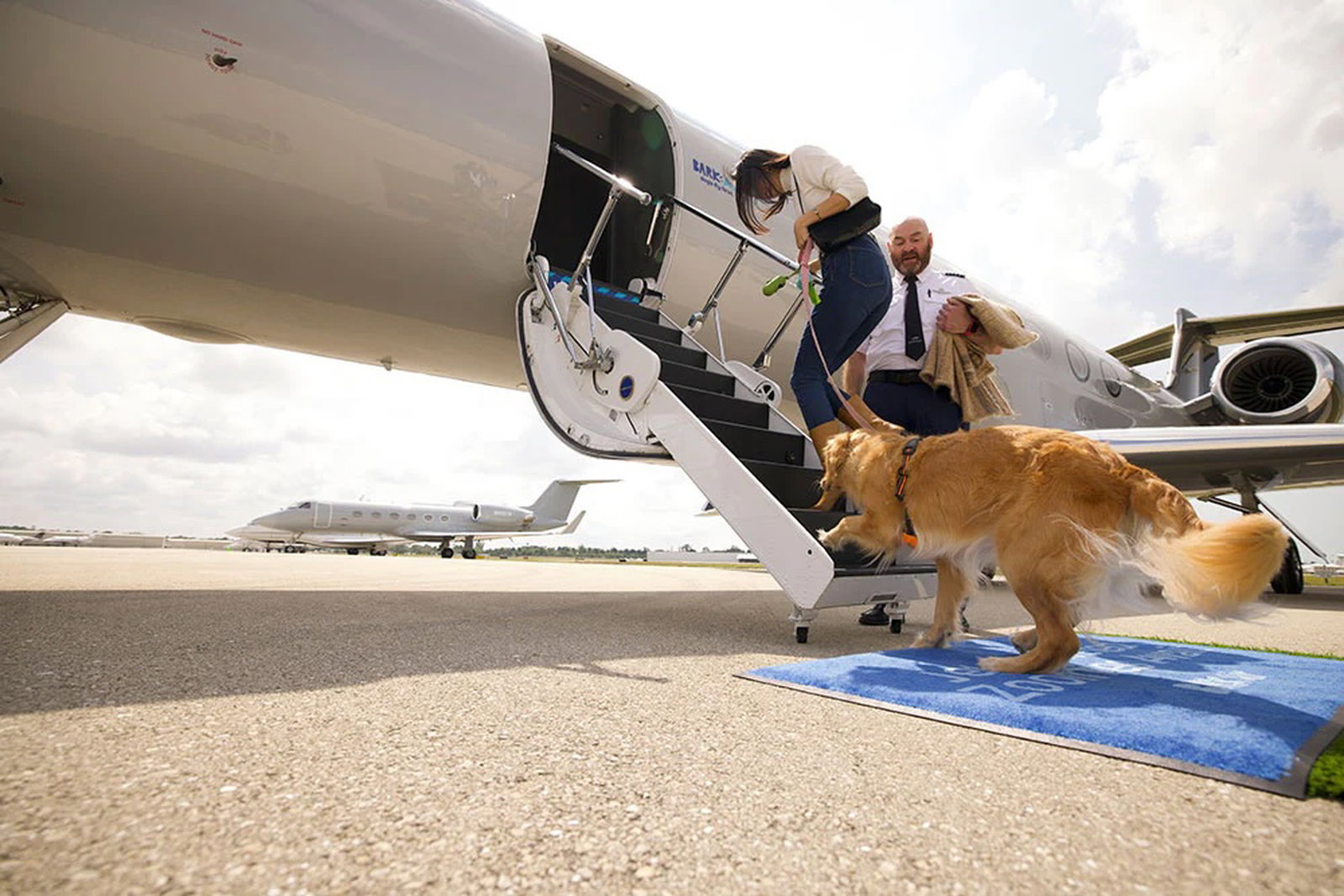 Featured image for BARK Air: World's First Luxury Airline for Dogs Takes Off