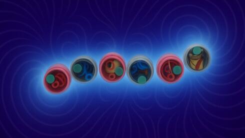 Featured image for Israeli Study Unveils Self-Assembly of Spinning Particles