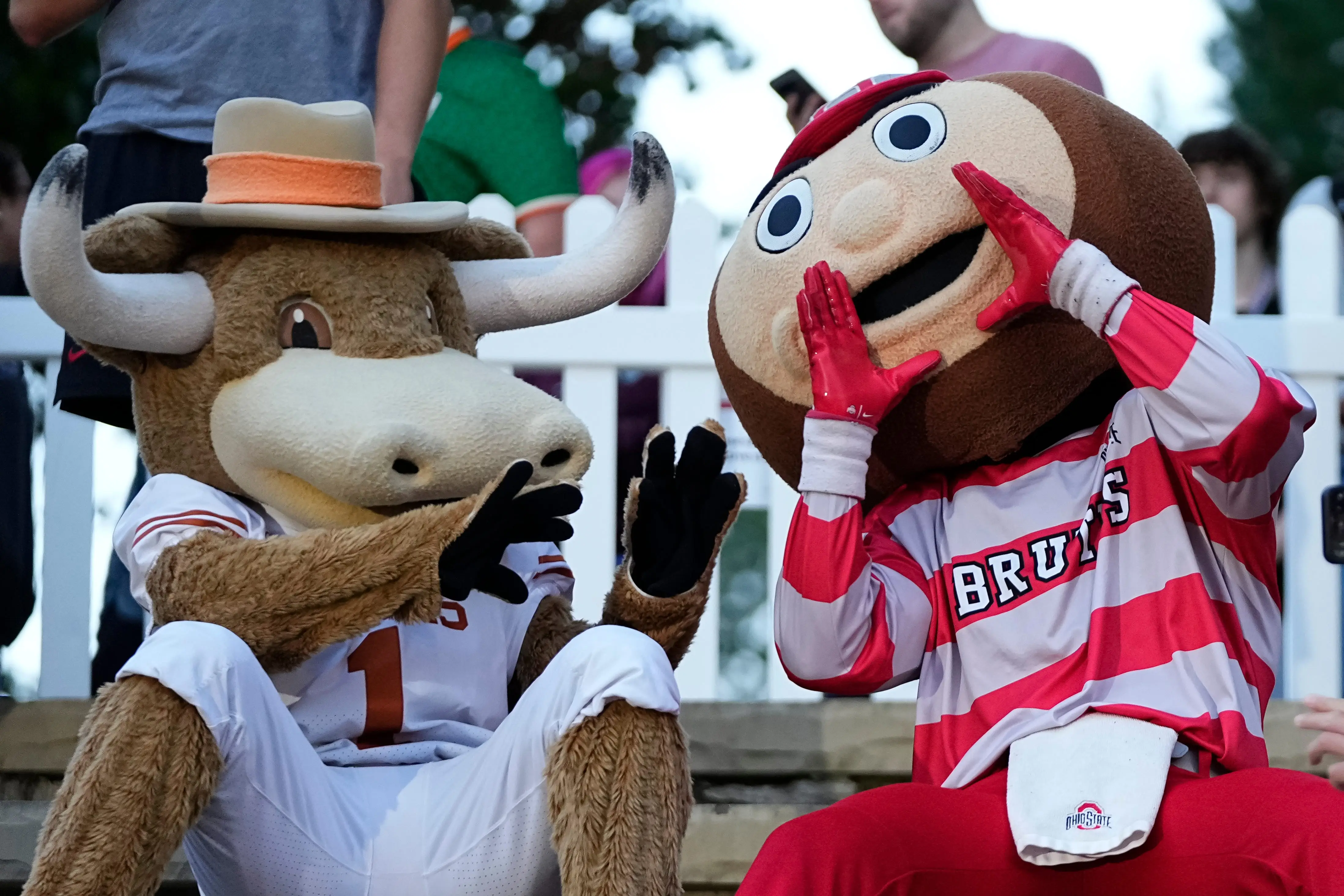 Featured image for Saturday's CFB Betting Highlights for August 30th