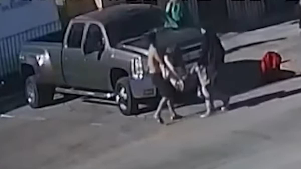 "New Videos Capture Fatal Beating of High School Student by Classmates"