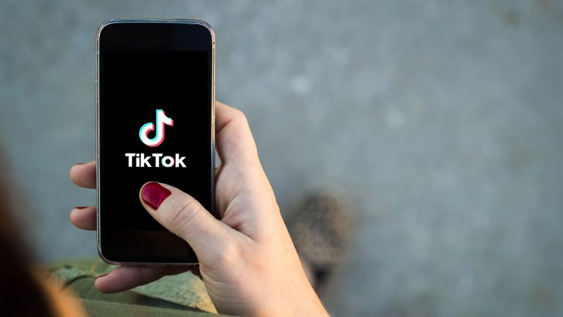 The TikTok Ban Debate: Americans' Views and Congress' Concerns