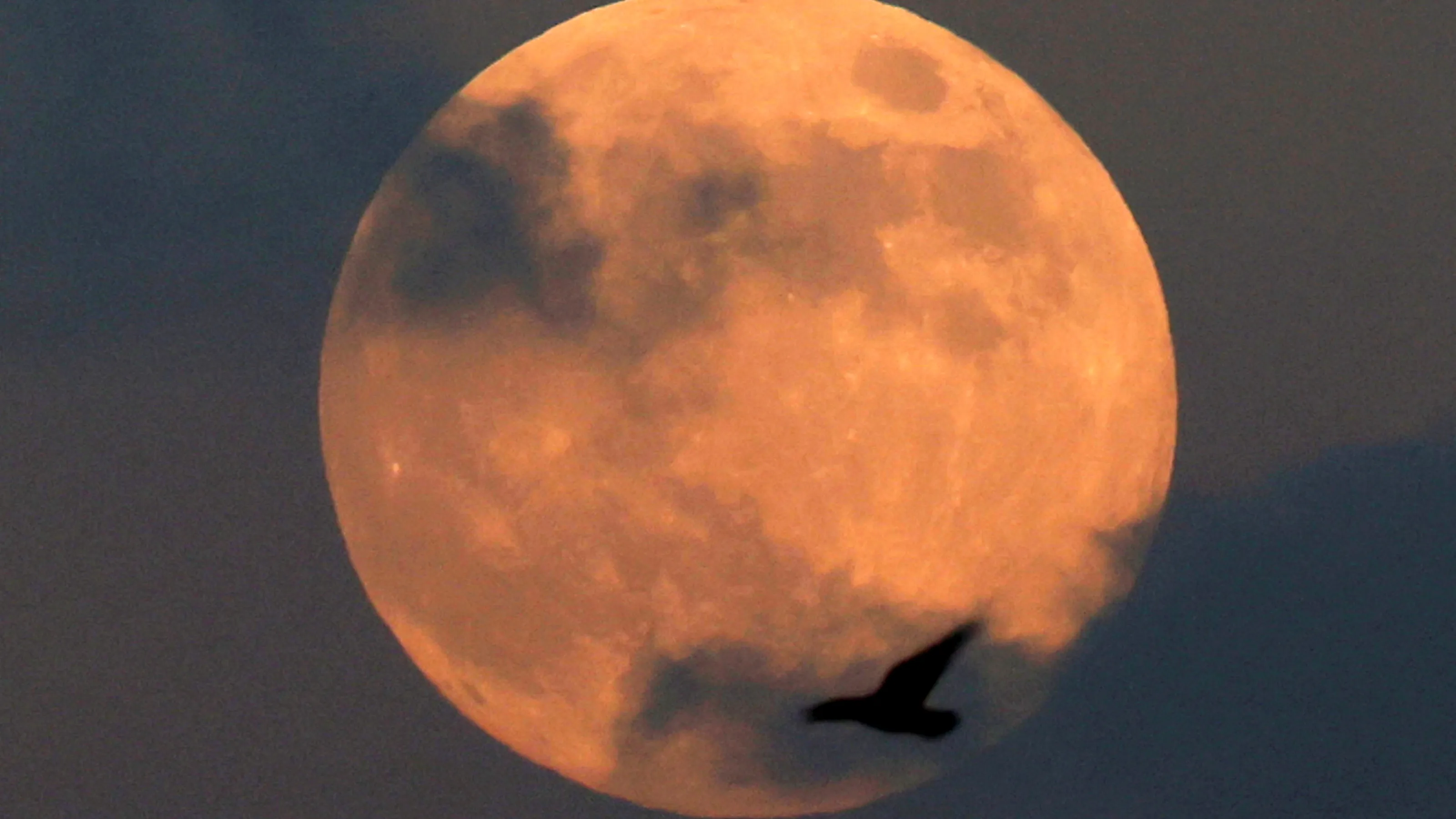 Featured image for Catch the Final Supermoon of 2024: The Beaver Moon Shines Bright