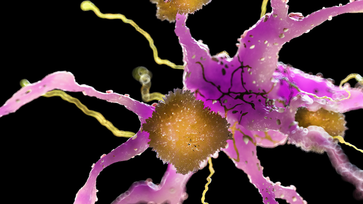 Featured image for Nanotechnology Advances Offer Rapid Reversal of Alzheimer’s in Mice