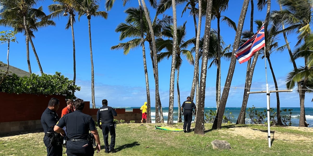 Featured image for "Shark Attack Claims Surfer's Life off Maui Coast"