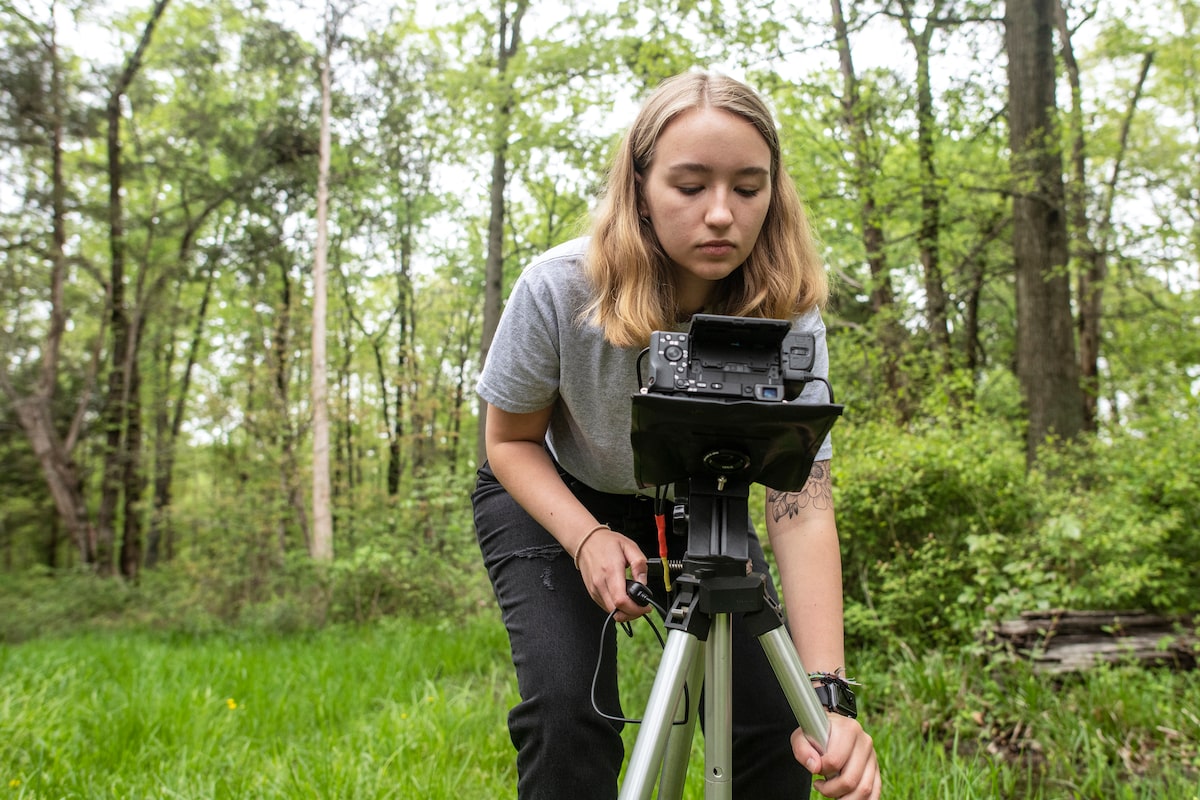 Featured image for "Capturing the World: A Glimpse into How Animals Perceive Color"
