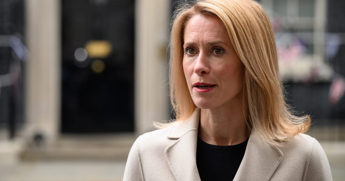 Estonia Foils Russian Hybrid Operation, Detains 10 Suspects