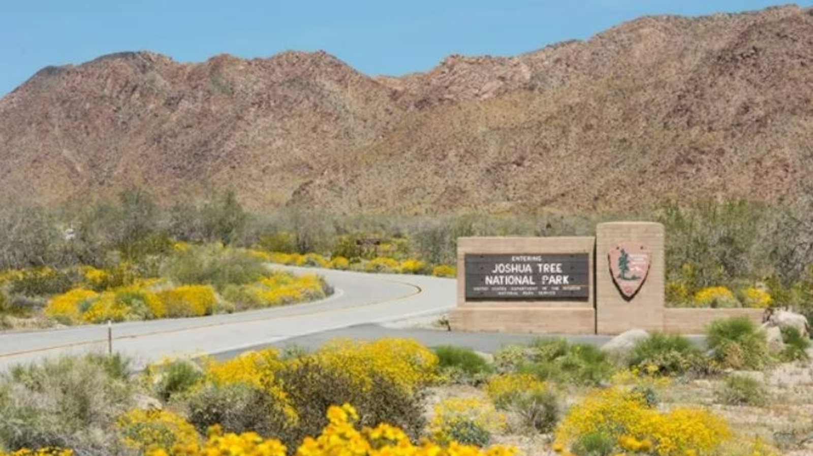 Featured image for "Discovery of Human Remains in Joshua Tree National Park Raises Questions"