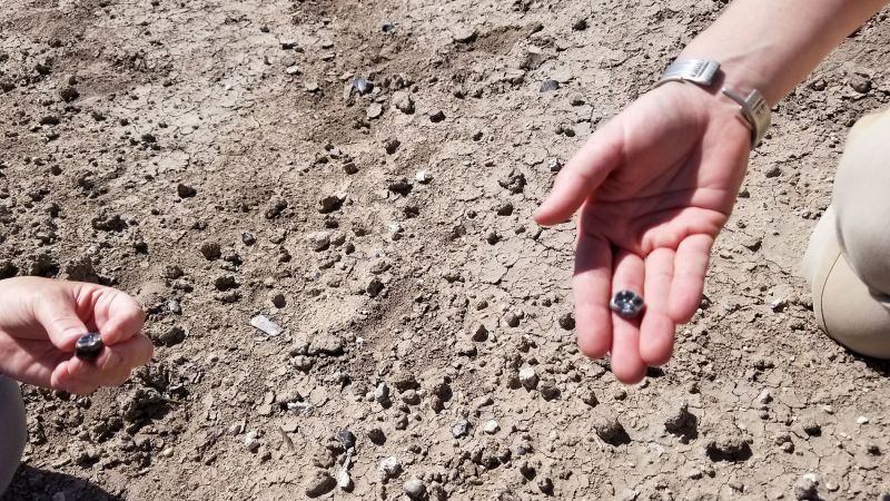 Featured image for Ancient Human Ancestors and New Species Discovered in Ethiopia