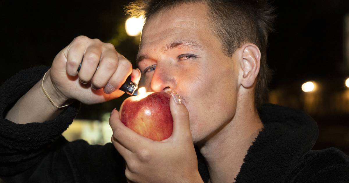 Featured image for Oregon's Cannabis Farmers Overproduce Yet Again