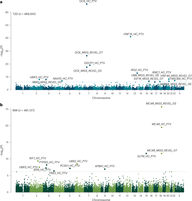 Featured image for Genetic Insights into Human Metabolism and Blood Molecule Levels