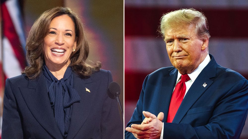 Live Updates: Stock Market Fluctuates Amid Election Results
