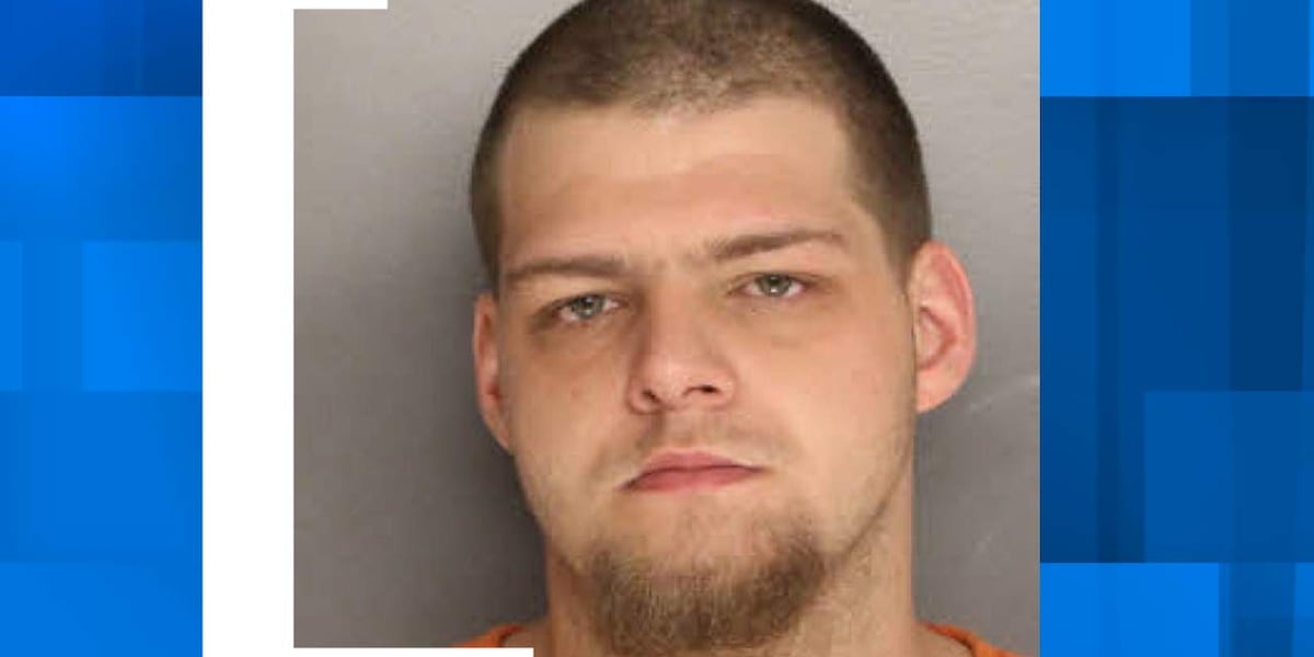 Featured image for "Manhunt in Francis Marion Forest for Armed and Dangerous Suspect Wanted for Attempted Murder"