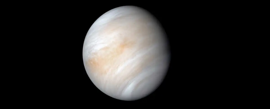 Potential Threat Detected in Venus's Orbit, Study Warns