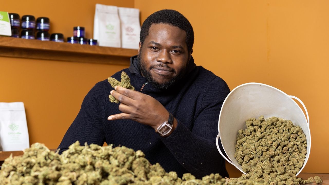 "New York's Cannabis Industry Expands with Retail Sales and Social Equity Plans"