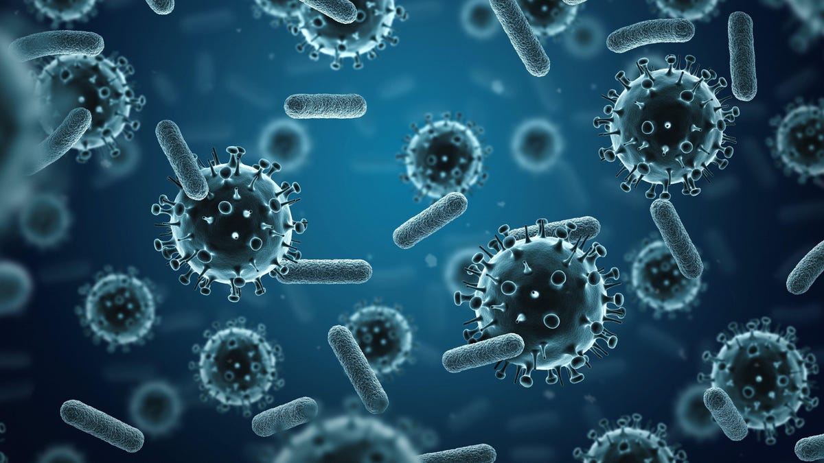 Featured image for "Virus-like 'Obelisks' Discovered in Human Gut Microbes"