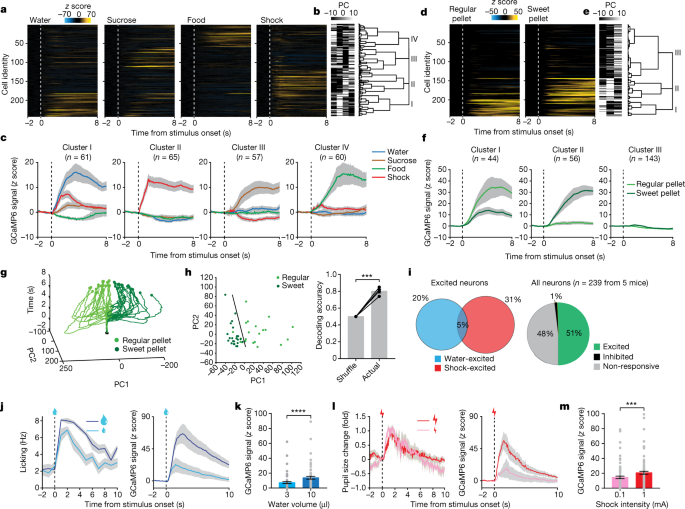 Decoding the Brain's Response to Salient Events and Rewards.