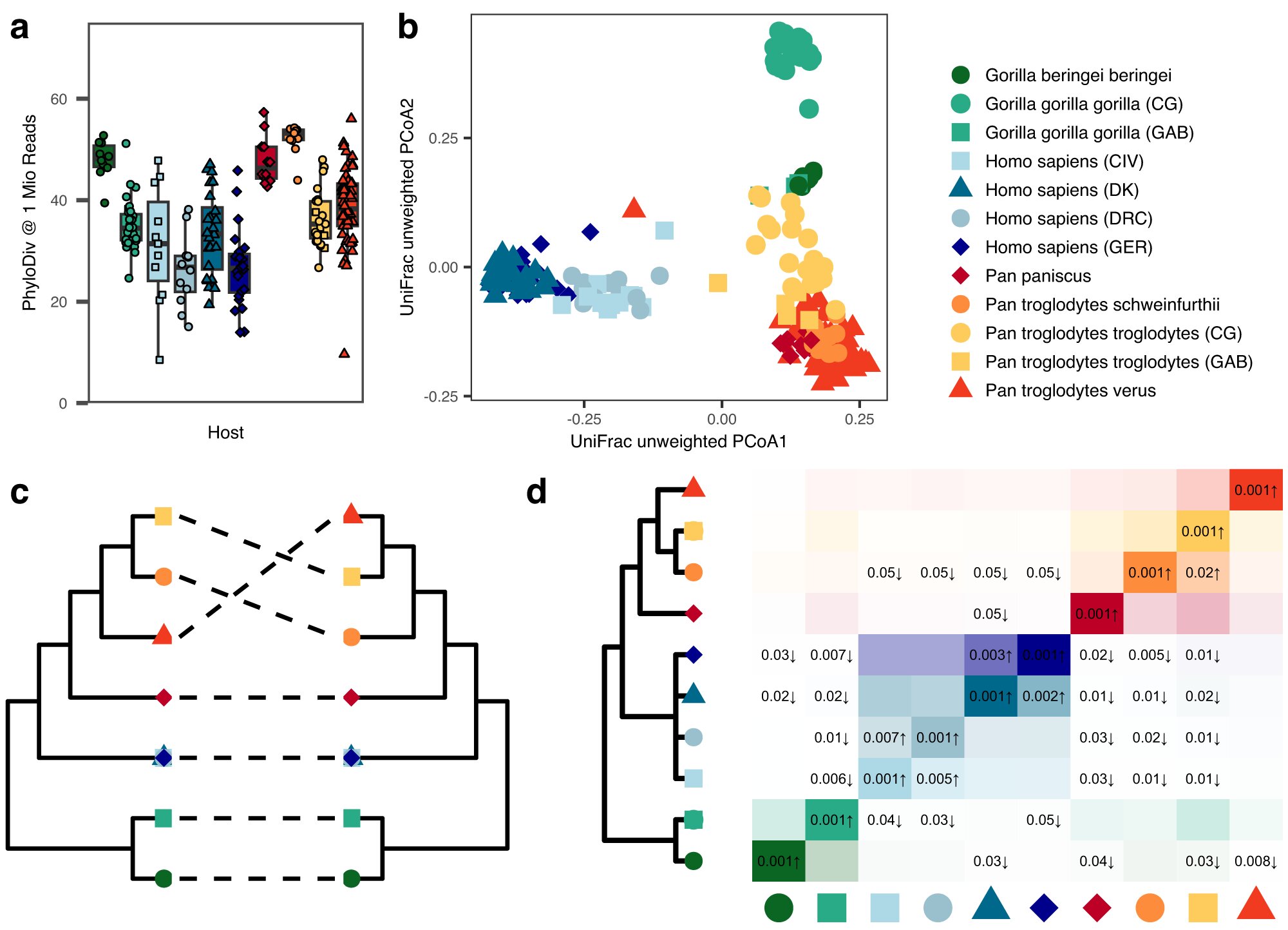 Featured image for Insights from Comparative Genome Study of Humans and Great Apes on Gut Microbiome Development