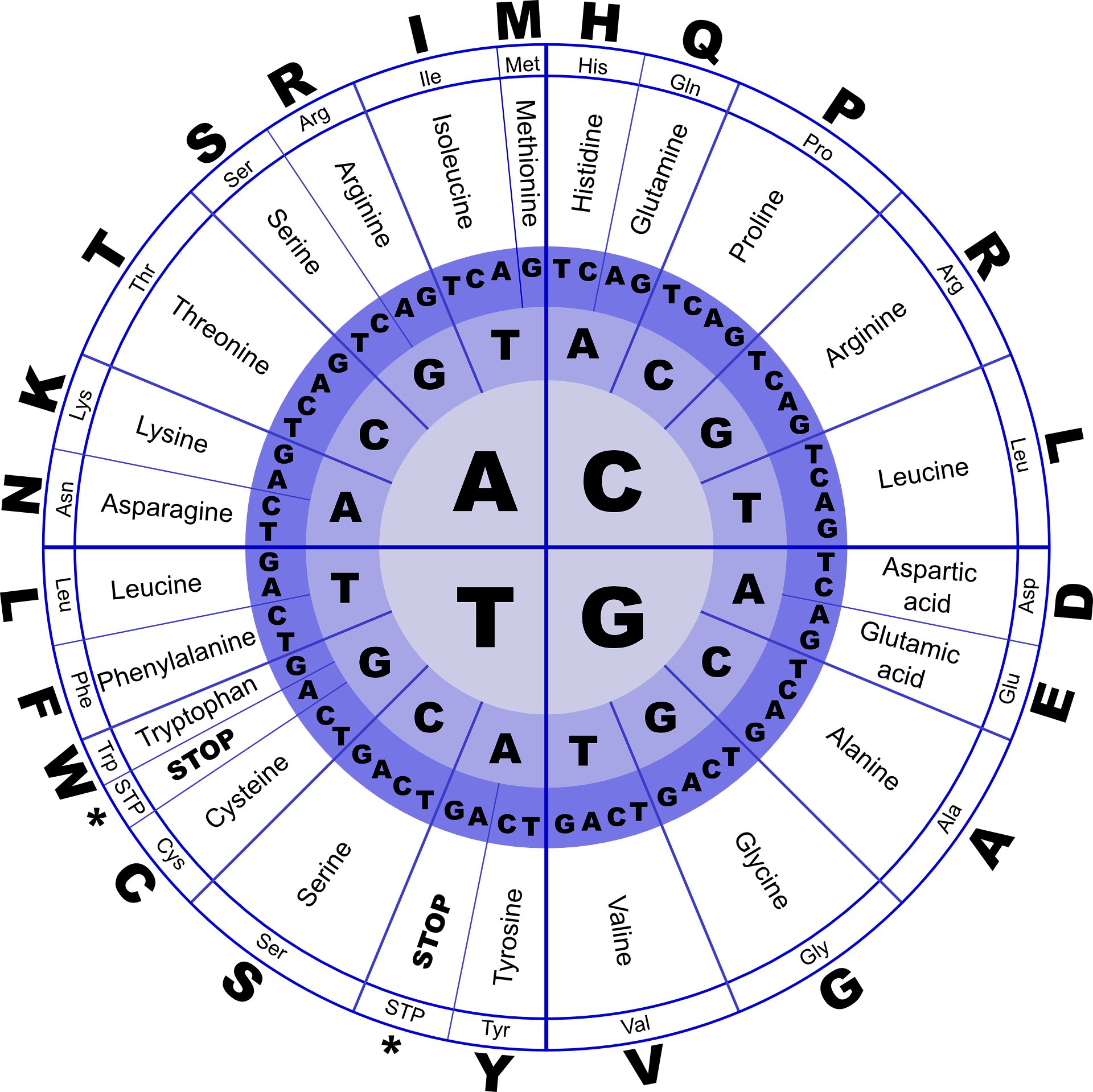 Featured image for "Supercomputer Analysis: Can 'Molecules of Life' Form Naturally in Ideal Conditions?"