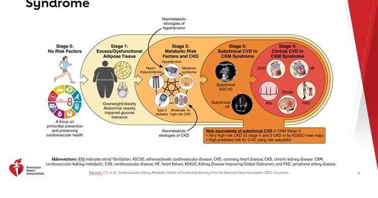 Featured image for "Breakthrough Discovery: AHA Identifies Multi-Organ Afflicting Heart Syndrome"