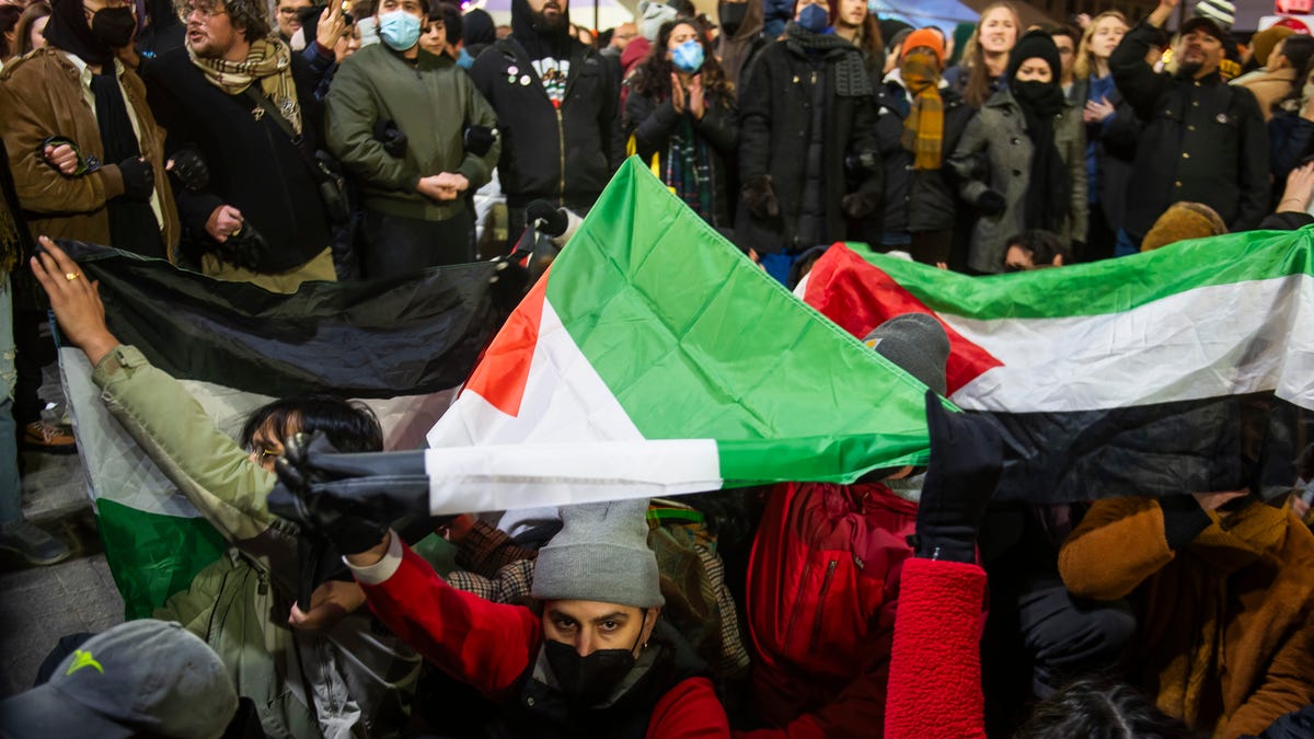 Calls for Ceasefire in Israel-Hamas Conflict Echo Across US Lawmakers