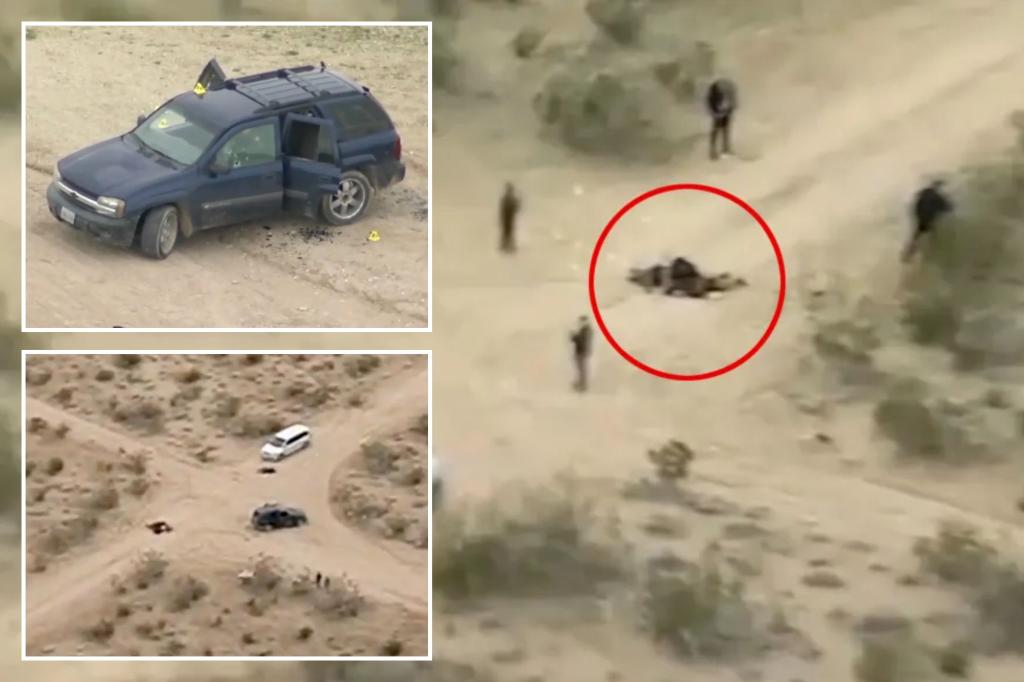 Featured image for "Deadly Consequences: Unraveling the Mojave Desert's Illegal Marijuana Trade"