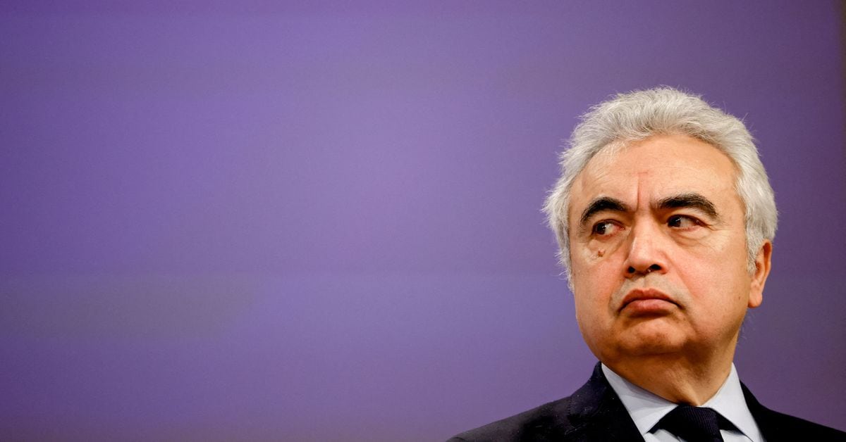 Featured image for IEA: Cash, Politics, and Green Growth - The Route to Net Zero