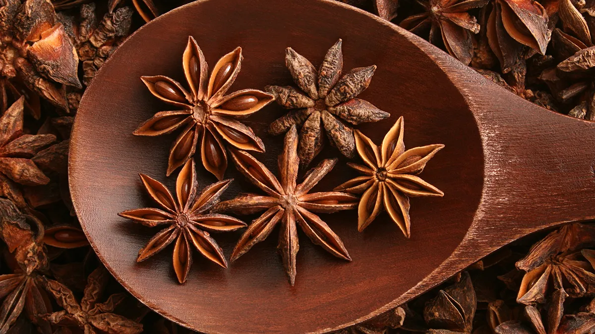 Featured image for "Unlocking the Power of Star Anise: Nature's Immune-Boosting Digestive Aid"