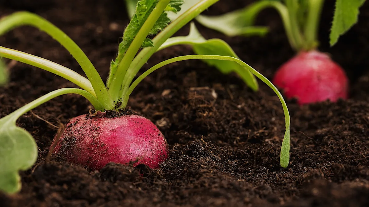 Featured image for Microplastics and Pesticides Found in Everyday Foods: How to Reduce Your Exposure