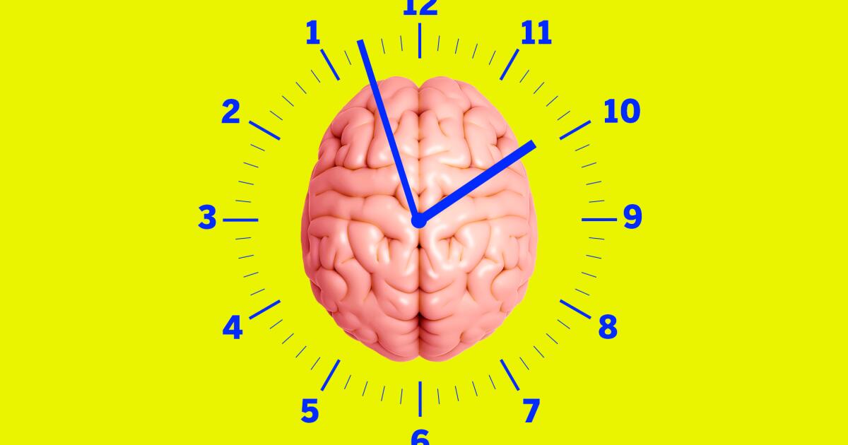 Featured image for Top Longevity Tips from Experts on Aging Gracefully