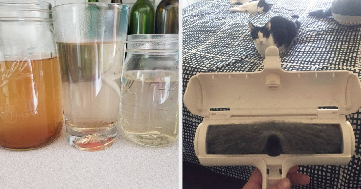 Featured image for "Top-Rated Amazon Products That Will Transform Your Home"