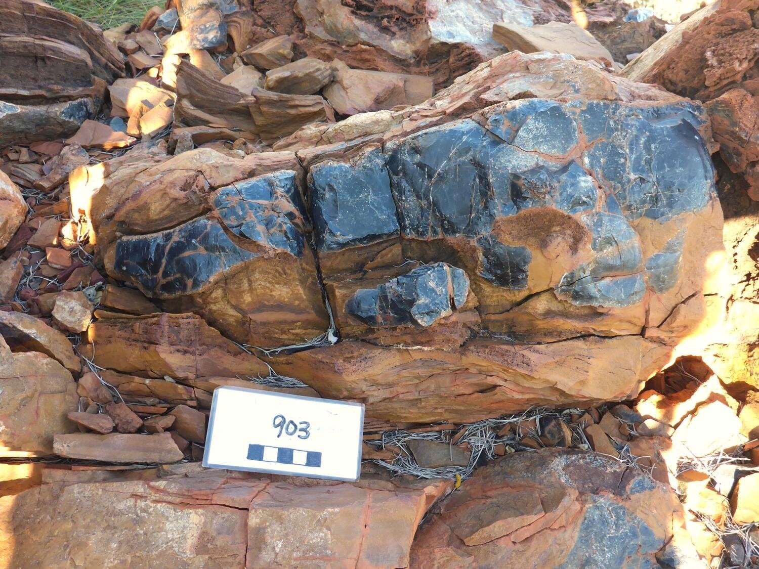 Featured image for Ancient microfossils reveal an earlier emergence of complex life