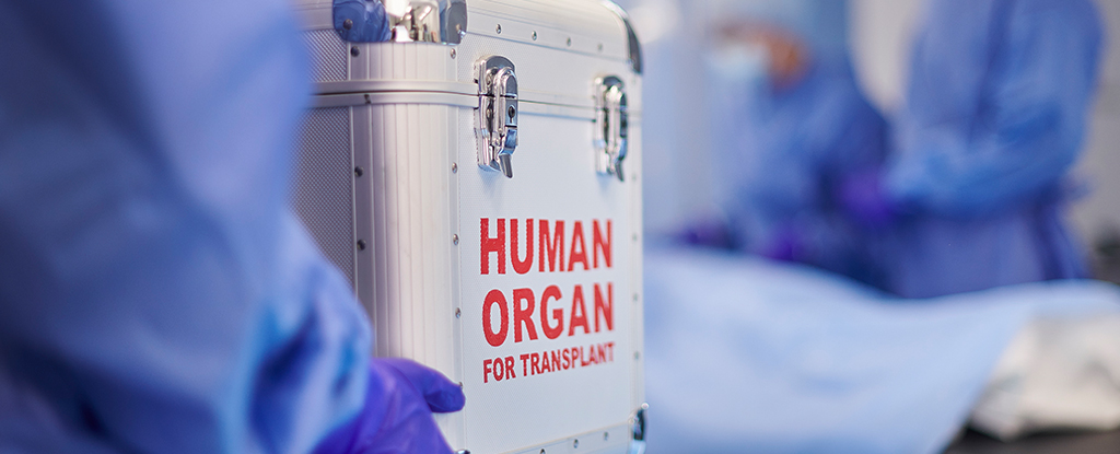 "Groundbreaking Dual-Organ Transplant Saves Patient's Life"