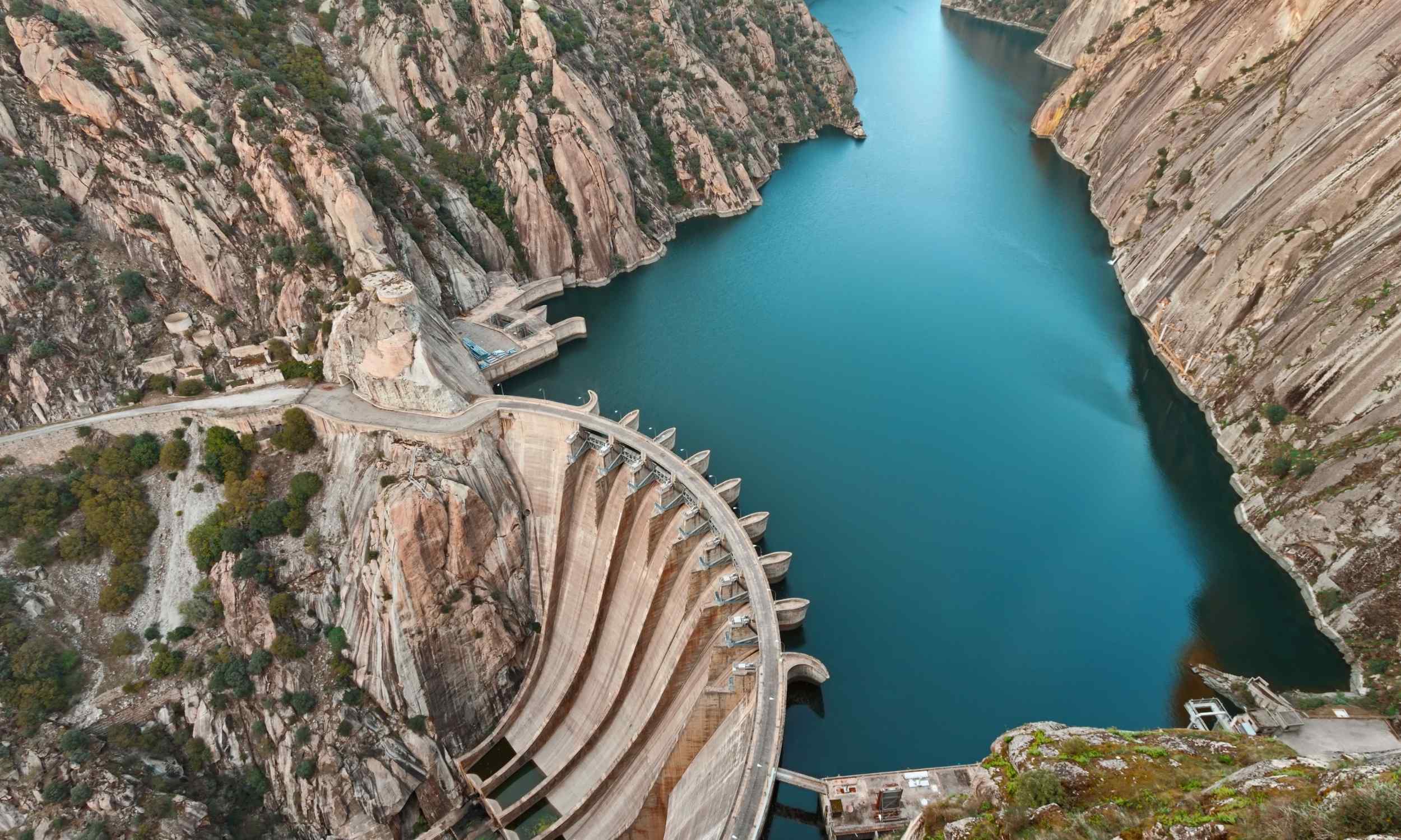 Featured image for River Ecosystem Rebounds and Thrives Three Years After Dam Removal