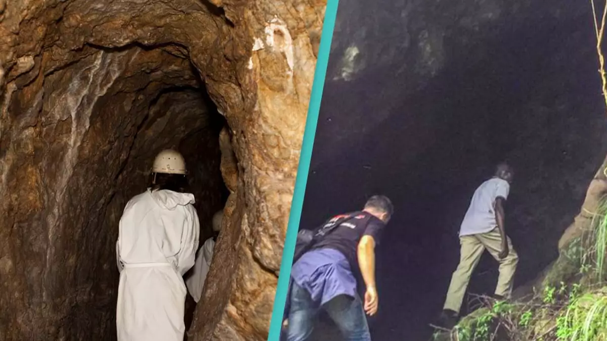 Featured image for "The Deadly Mystery of Earth's Most Dangerous Cave Disease"