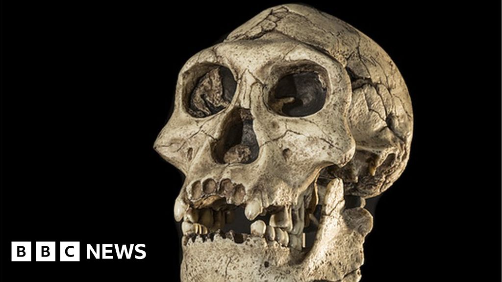 Europe's Early Humans Extinct Due to Glacial Cooling